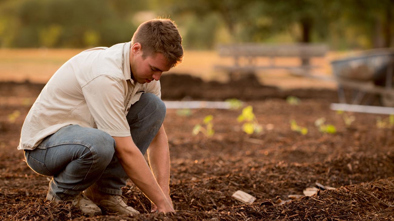 Potager_Hannut