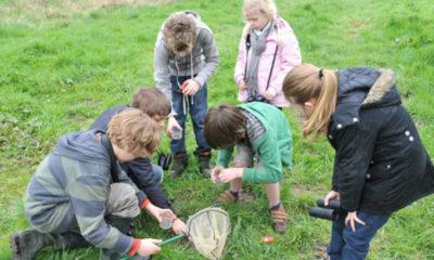 enfants_village_du_saule_stage