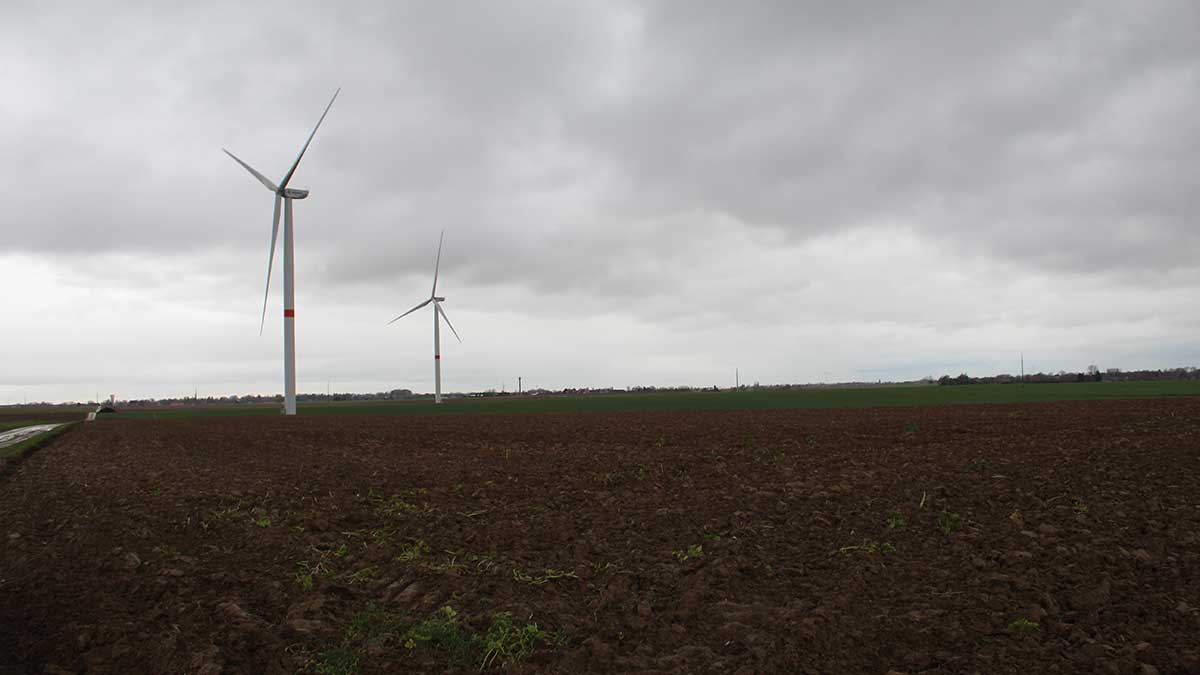 Calamité_Agricole_Hannut