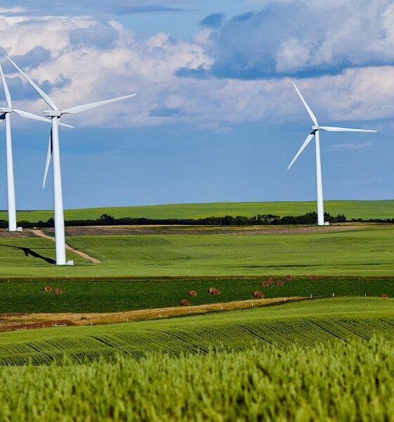 éoliennes_photo