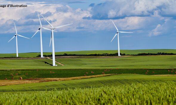 éoliennes_photo