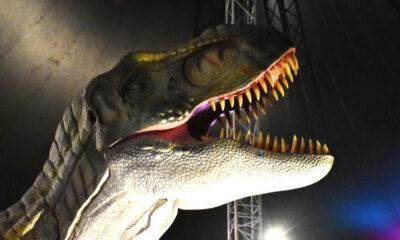 Jurassic_Expo_Hannut