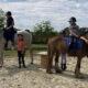 Ecurie_sisthorse