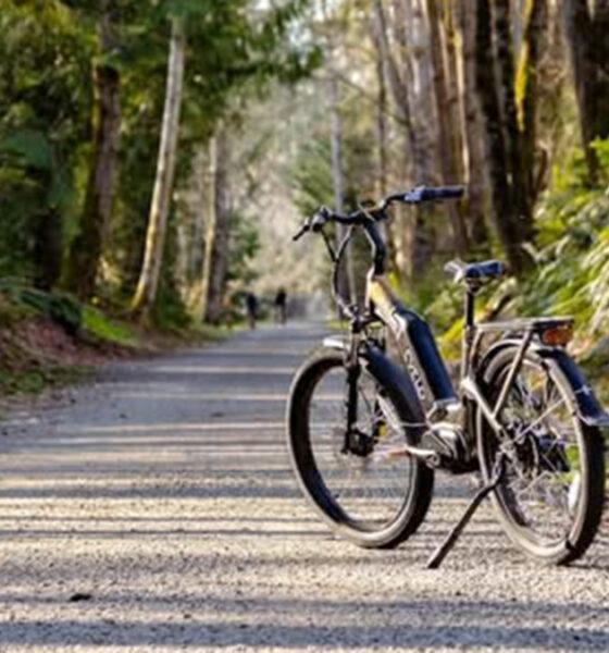 Je_Teste_Un_VAE_Resized