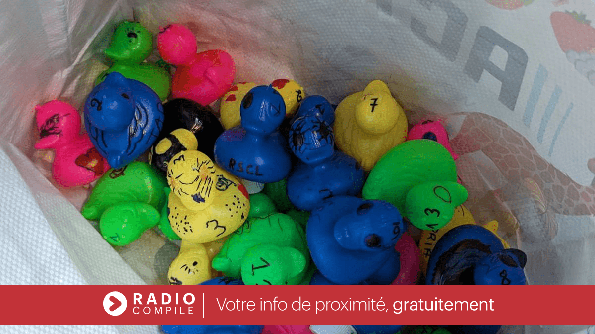 Bertrée organise une course de canards... en plastique