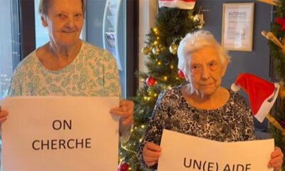 Buzz_cedre_bleu_jodoigne