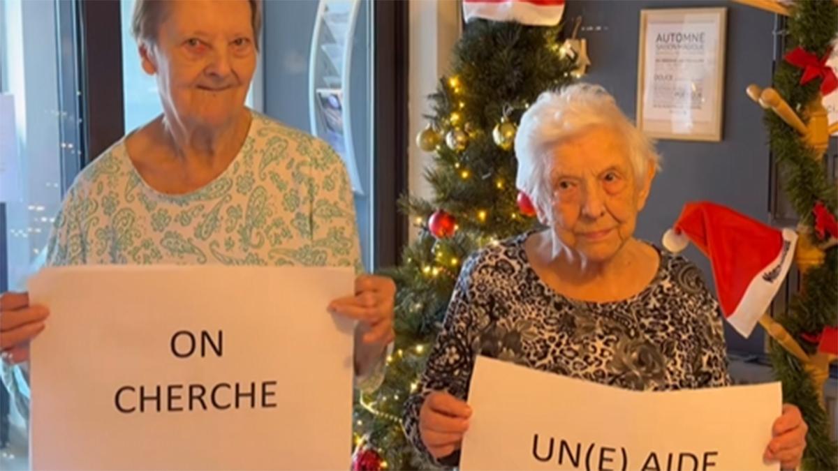 Buzz_cedre_bleu_jodoigne