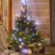 Collecte_Sapins_2026