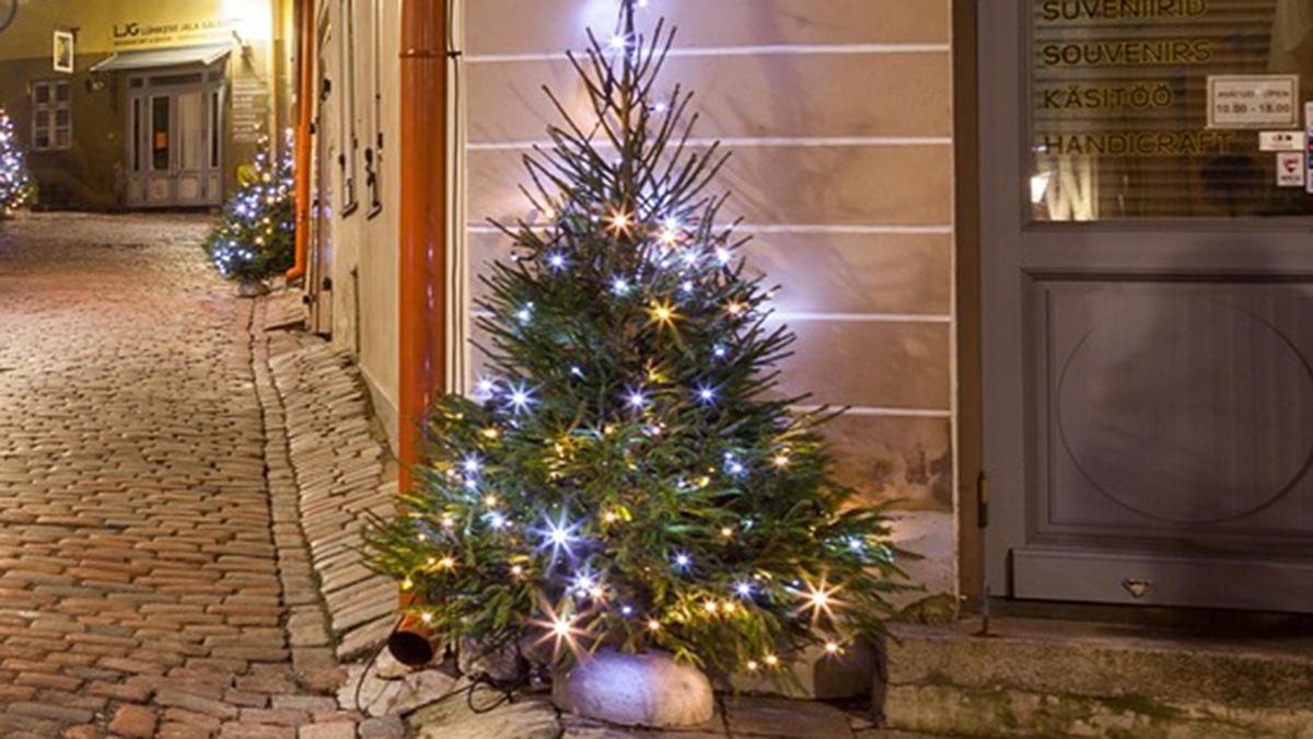 Collecte_Sapins_2026