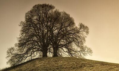 Concours_photos_Waremme