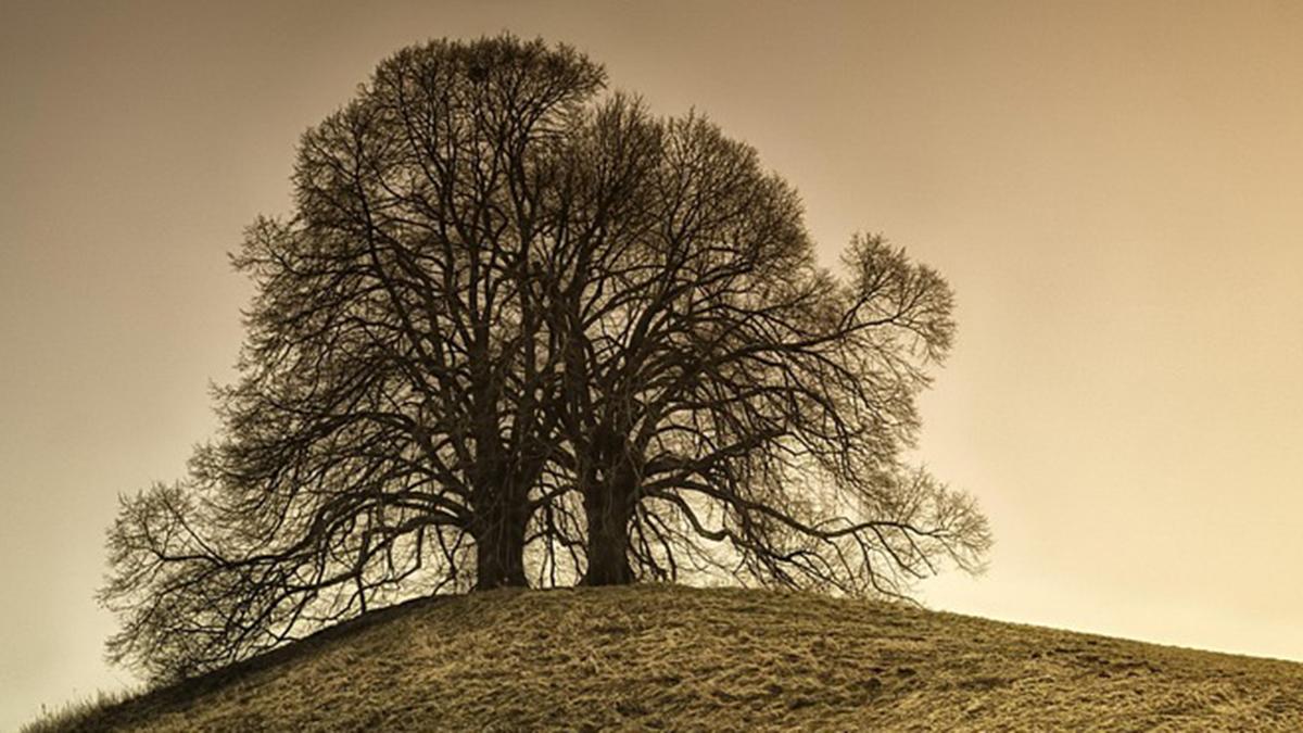 Concours_photos_Waremme