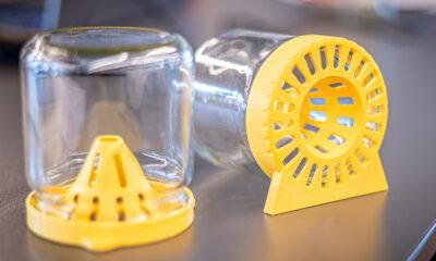 Lutte_Frelon_asiatique_hesbaye