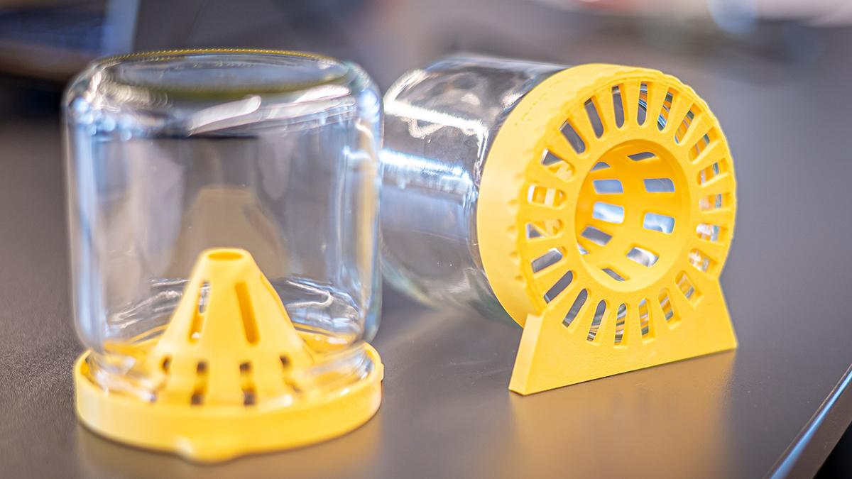 Lutte_Frelon_asiatique_hesbaye