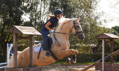 Concours_equestre_Hannut