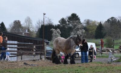 Fermette_Grison_Anthisnes