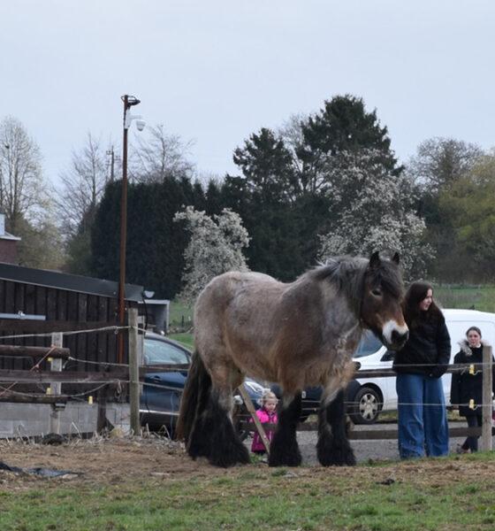 Fermette_Grison_Anthisnes