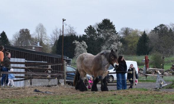 Fermette_Grison_Anthisnes