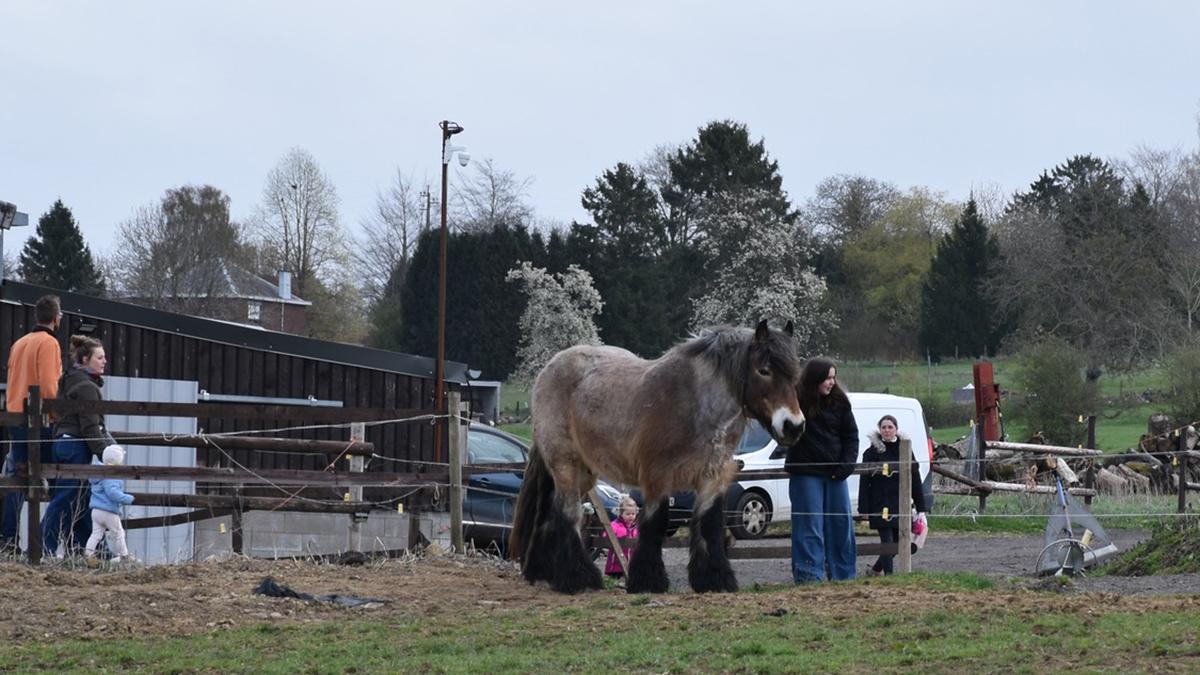 Fermette_Grison_Anthisnes