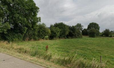 Reserve_Naturelle_Hanneche