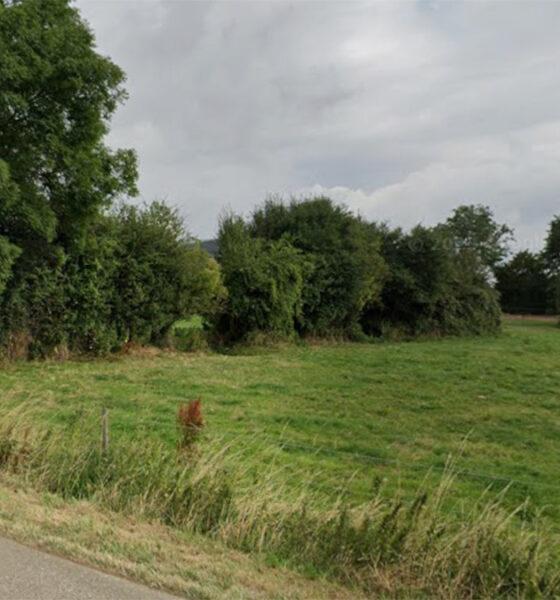 Reserve_Naturelle_Hanneche