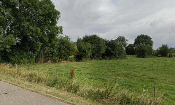 Reserve_Naturelle_Hanneche