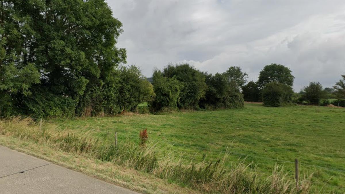 Reserve_Naturelle_Hanneche
