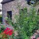 Waremme_en_Fleurs_2026