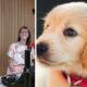 Conseil_Chiots
