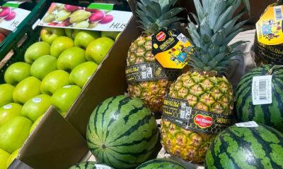 Frudelco_Fresh