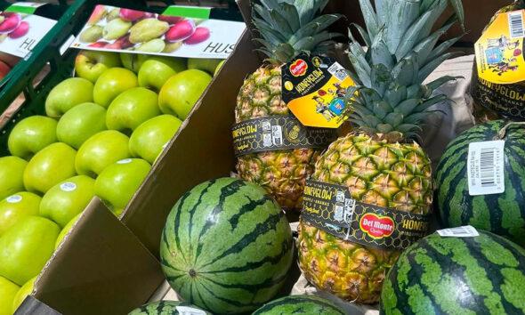 Frudelco_Fresh