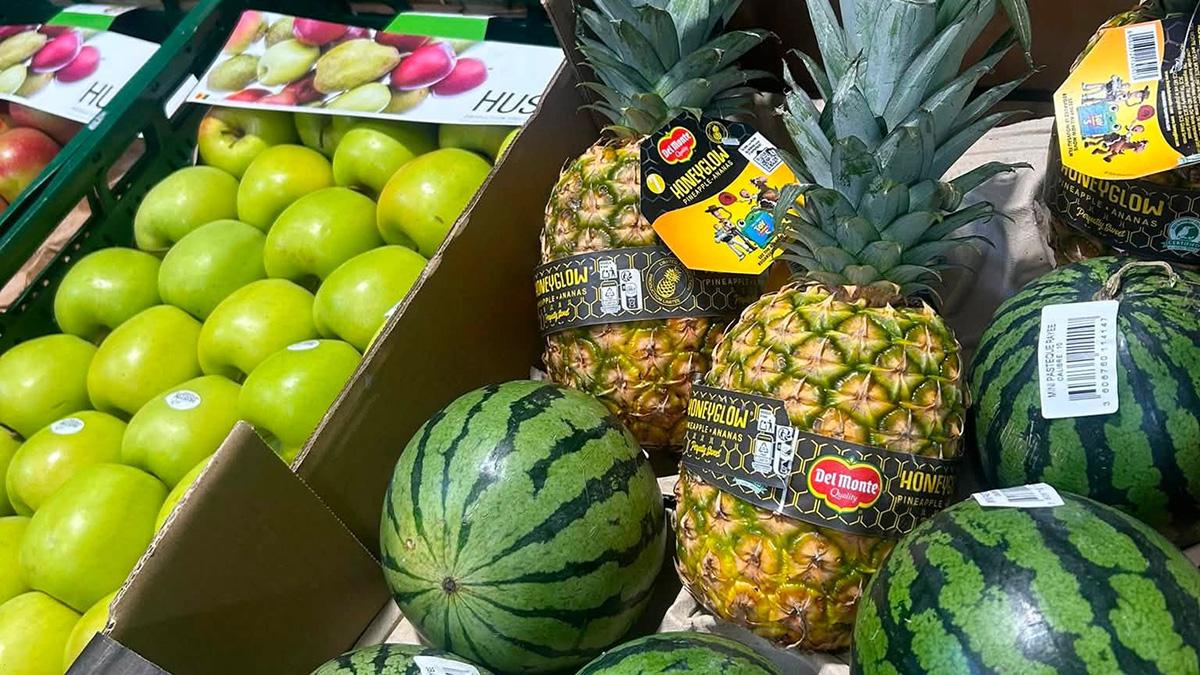 Frudelco_Fresh